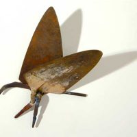 Moth Welded steel 10” x 7” x 3” 2007 Moth Welded steel 10” x 7” x 3” 2007