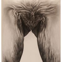 ProjectS_01, charcoal on watercolor paper, 63” x 42”, 2015 ProjectS_01, charcoal on watercolor paper, 63” x 42”, 2015