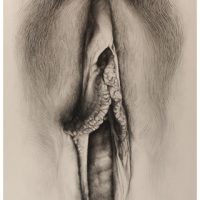 ProjectS_04, charcoal on watercolor paper, 64” x 40”, 2016 ProjectS_04, charcoal on watercolor paper, 64” x 40”, 2016
