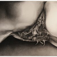 ProjectS_06, charcoal on watercolor paper, 45” x 54”, 2016 ProjectS_06, charcoal on watercolor paper, 45” x 54”, 2016