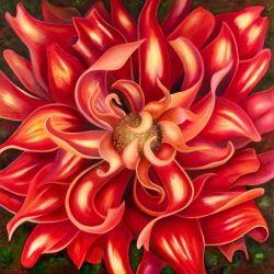 Passion Red Dahlia. 30x30" Gallery Wrapped Oil on Canvas Oil Painting by the artist, Mary Ahern
