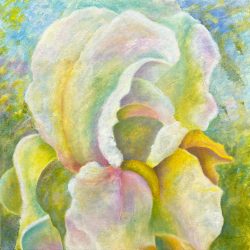 Meditative Journey-Immortality Iris. 24x24" Acrylic & Oil on Gallery Wrapped Canvas Oil Painting by the artist, Mary Ahern